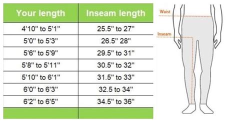 inseam to height ratio|height to inseam ratio chart.